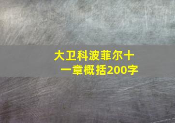 大卫科波菲尔十一章概括200字