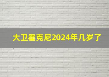 大卫霍克尼2024年几岁了