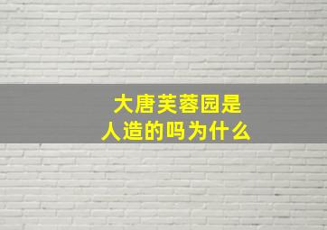 大唐芙蓉园是人造的吗为什么