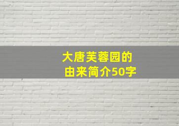 大唐芙蓉园的由来简介50字