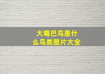 大嘴巴鸟是什么鸟类图片大全