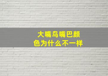 大嘴鸟嘴巴颜色为什么不一样