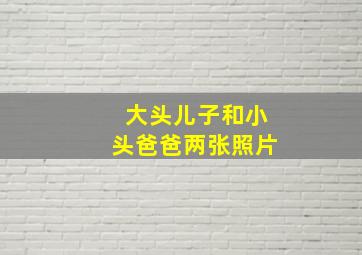 大头儿子和小头爸爸两张照片