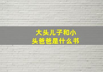 大头儿子和小头爸爸是什么书