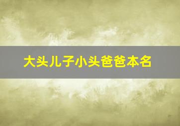 大头儿子小头爸爸本名