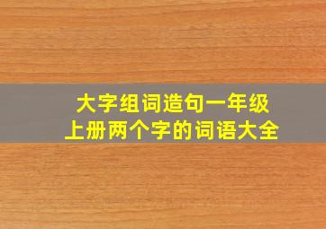 大字组词造句一年级上册两个字的词语大全