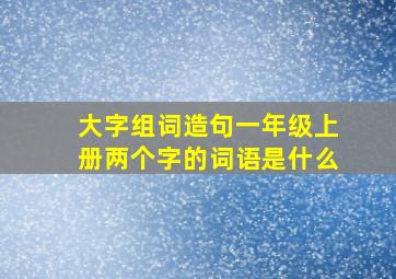 大字组词造句一年级上册两个字的词语是什么