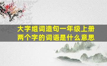 大字组词造句一年级上册两个字的词语是什么意思