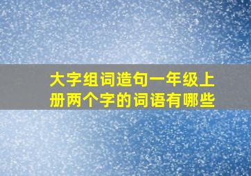 大字组词造句一年级上册两个字的词语有哪些