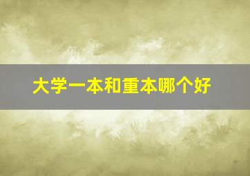 大学一本和重本哪个好