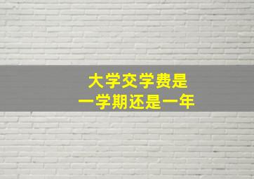 大学交学费是一学期还是一年