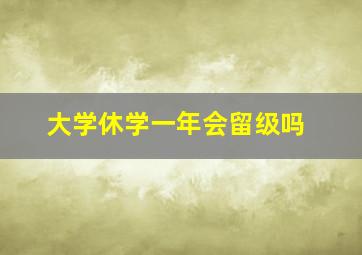 大学休学一年会留级吗