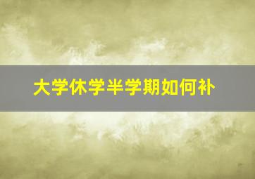 大学休学半学期如何补