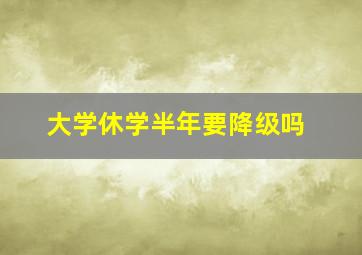 大学休学半年要降级吗