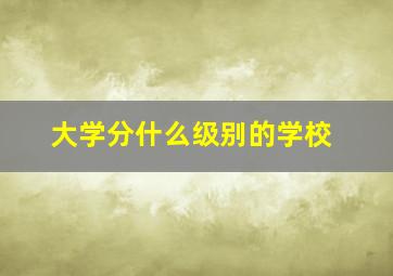 大学分什么级别的学校