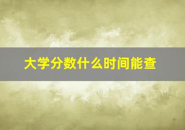 大学分数什么时间能查