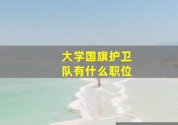 大学国旗护卫队有什么职位