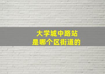 大学城中路站是哪个区街道的