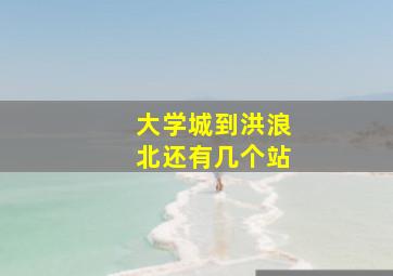 大学城到洪浪北还有几个站