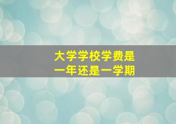 大学学校学费是一年还是一学期