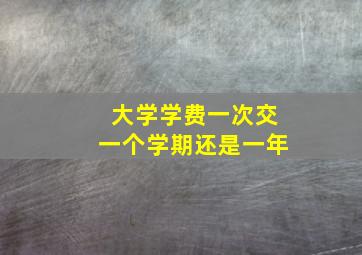 大学学费一次交一个学期还是一年