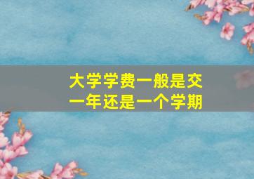 大学学费一般是交一年还是一个学期