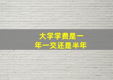 大学学费是一年一交还是半年