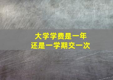 大学学费是一年还是一学期交一次