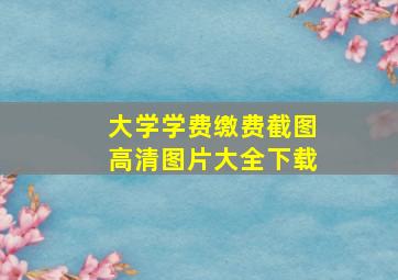 大学学费缴费截图高清图片大全下载