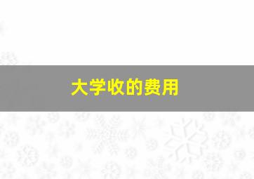 大学收的费用