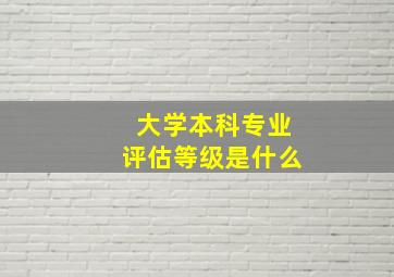 大学本科专业评估等级是什么