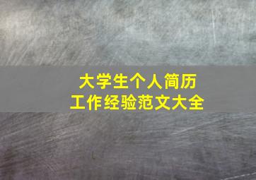 大学生个人简历工作经验范文大全