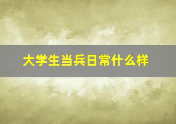 大学生当兵日常什么样