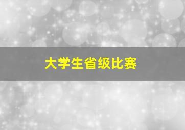 大学生省级比赛