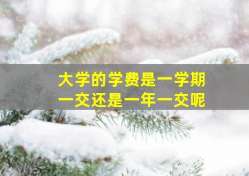 大学的学费是一学期一交还是一年一交呢