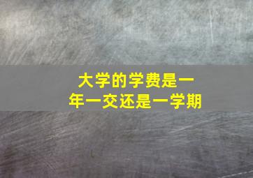 大学的学费是一年一交还是一学期