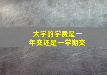 大学的学费是一年交还是一学期交