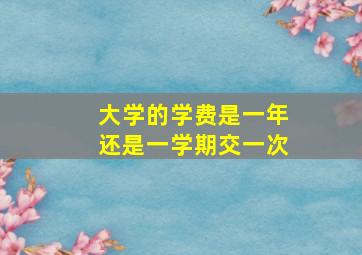 大学的学费是一年还是一学期交一次