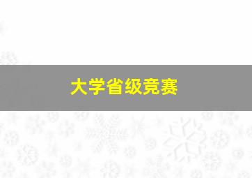 大学省级竞赛