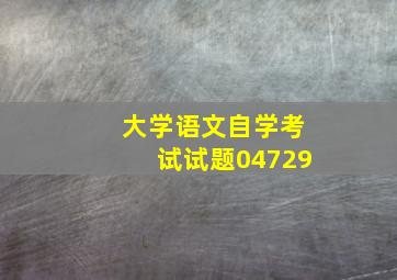 大学语文自学考试试题04729