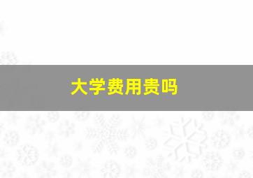 大学费用贵吗