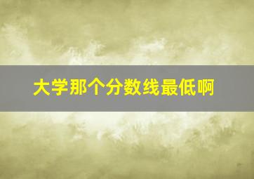 大学那个分数线最低啊