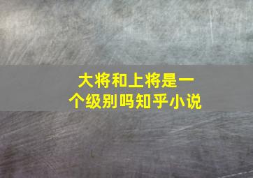 大将和上将是一个级别吗知乎小说