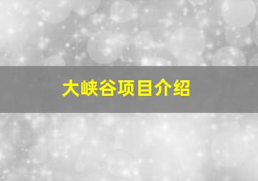 大峡谷项目介绍