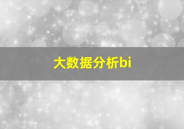 大数据分析bi