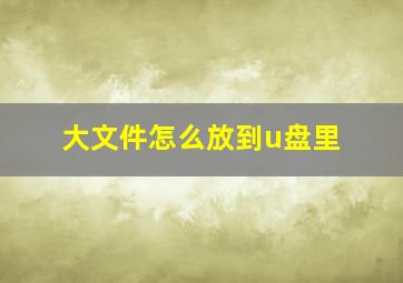 大文件怎么放到u盘里