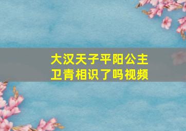 大汉天子平阳公主卫青相识了吗视频