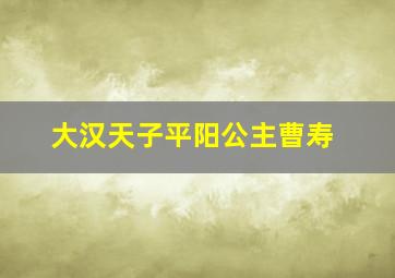 大汉天子平阳公主曹寿