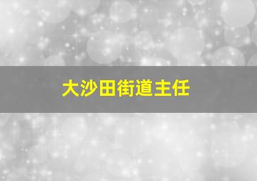 大沙田街道主任