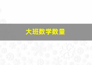 大班数学数量